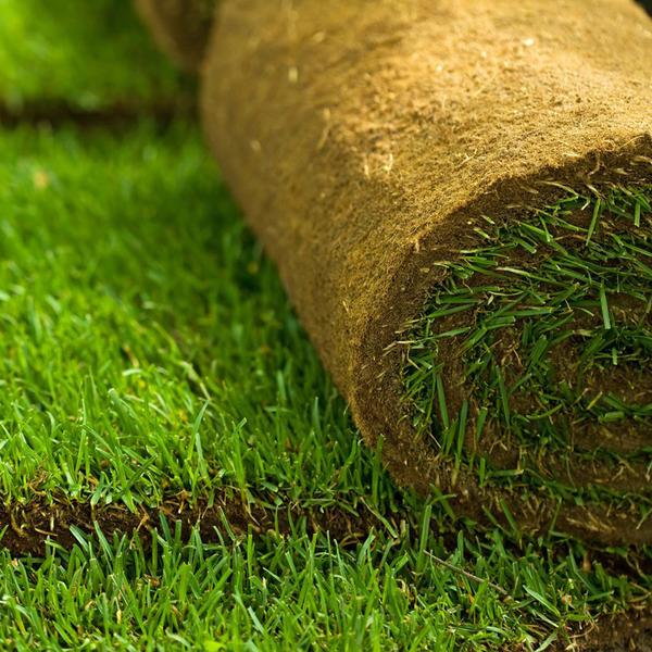 تركيب ثيل طبيعي